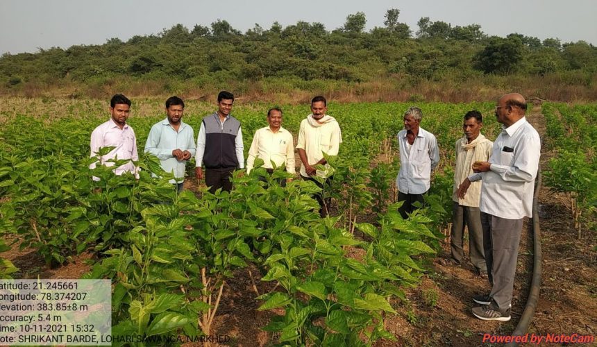 शेतकऱ्यांनी महारेशीम अभियानात सहभागी व्हावे