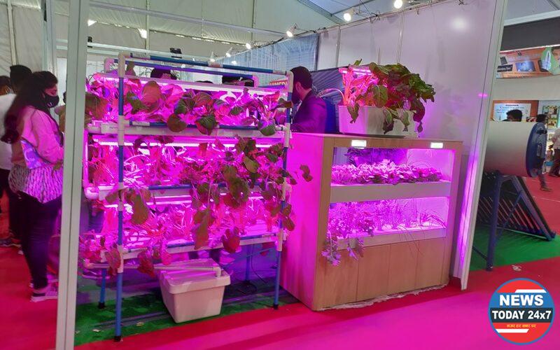 “Vertical farming offers industry status to Agriculture