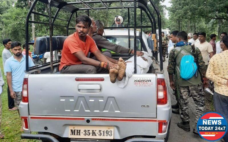 हत्तीच्या कळपाने एकाचा मृत्यू