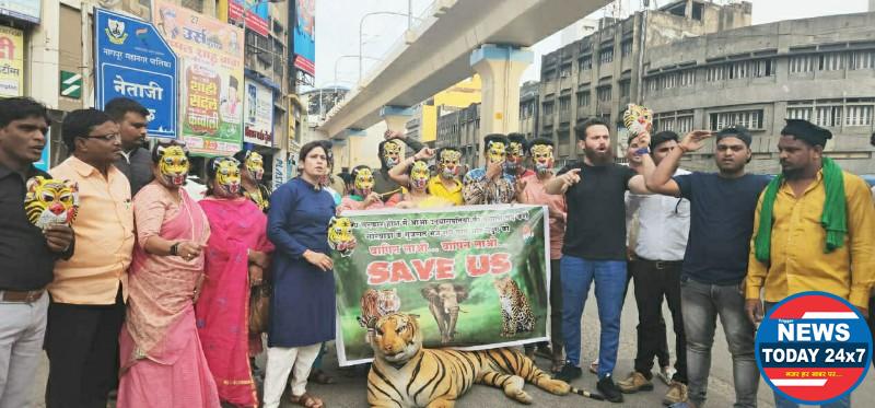 गोरेवाडा से गुजरात भेजे गए बाघ और तेंदुए को वापस लाने के लिया युवक कांग्रेस ने किया आंदोलन